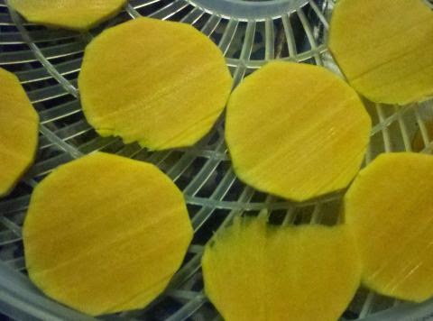 Savory butternut squash chips, how to preserve butternut squash, curry