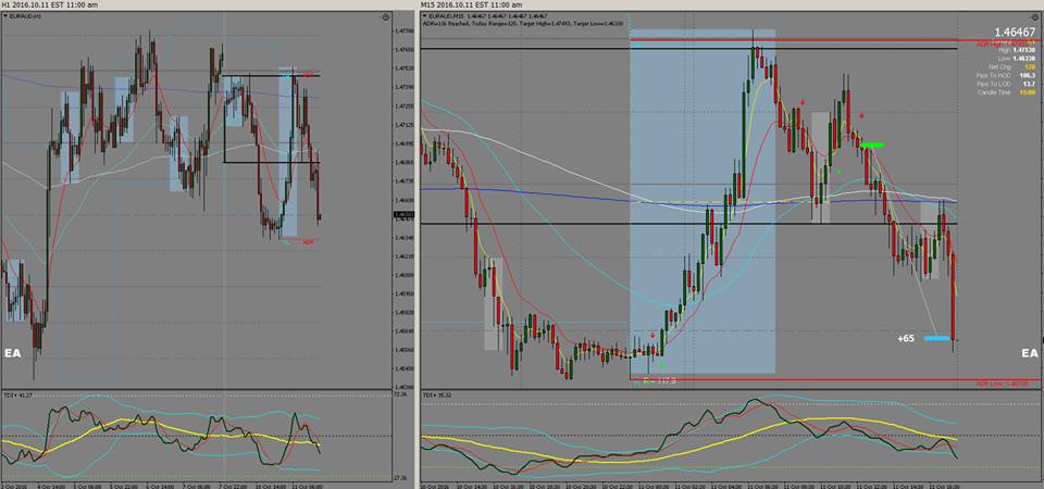 Btmm forex