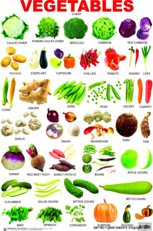 20 VEGETABLES 1309×1927  ETEN MAKEN  Pinterest