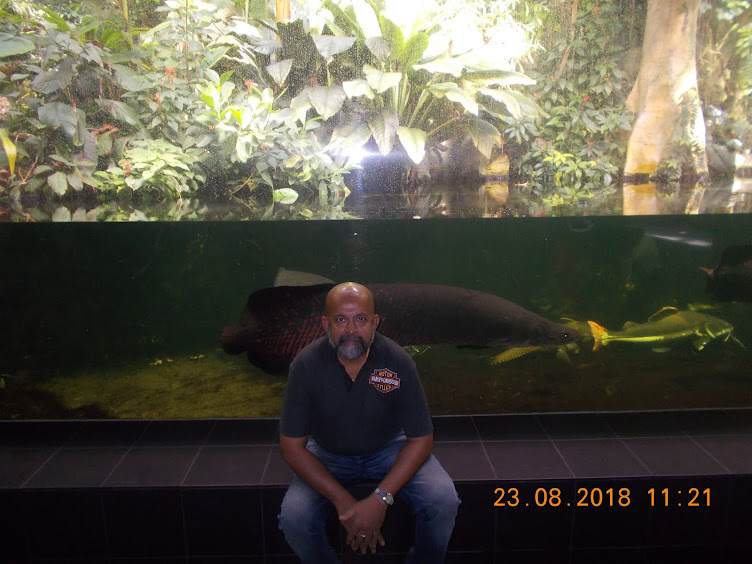 Berlin Zoo Aquarium
