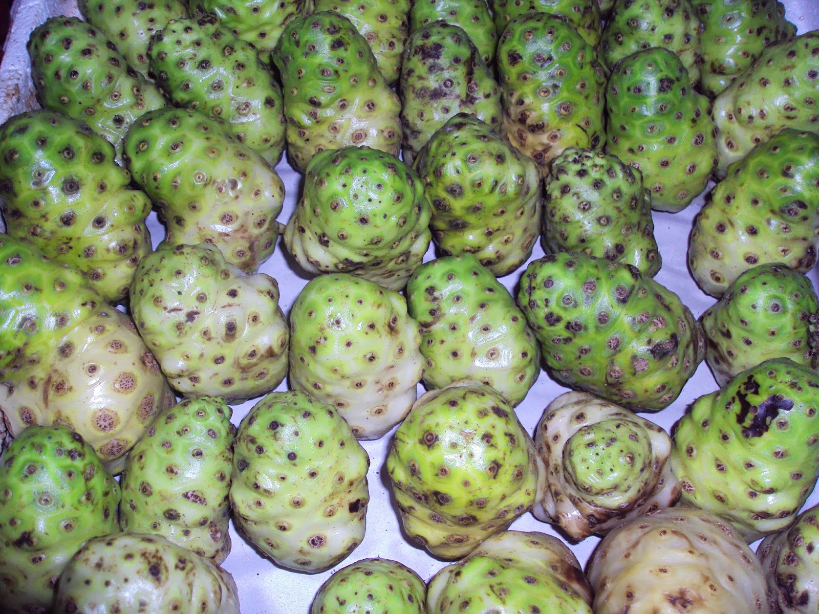 Don Lechon REFRESHING EXOTIC FRUITS IN MEXICO