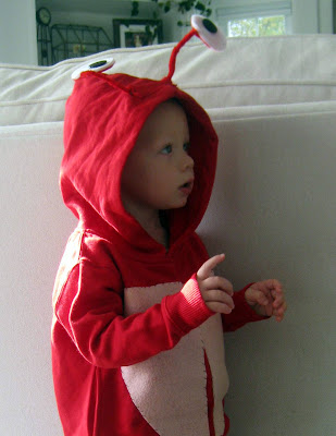 A little boy in a crab costume