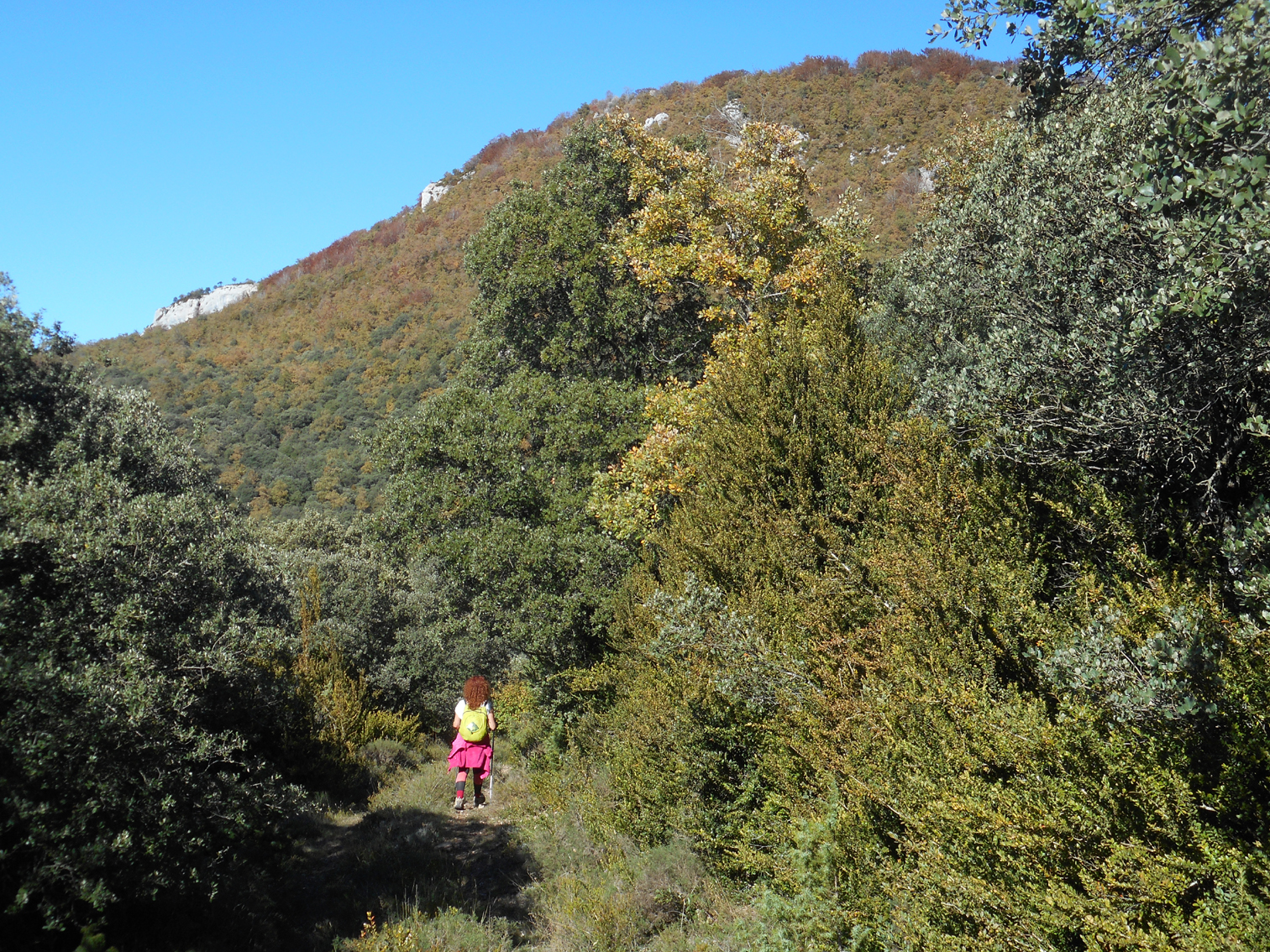 MONTES: noviembre 2016