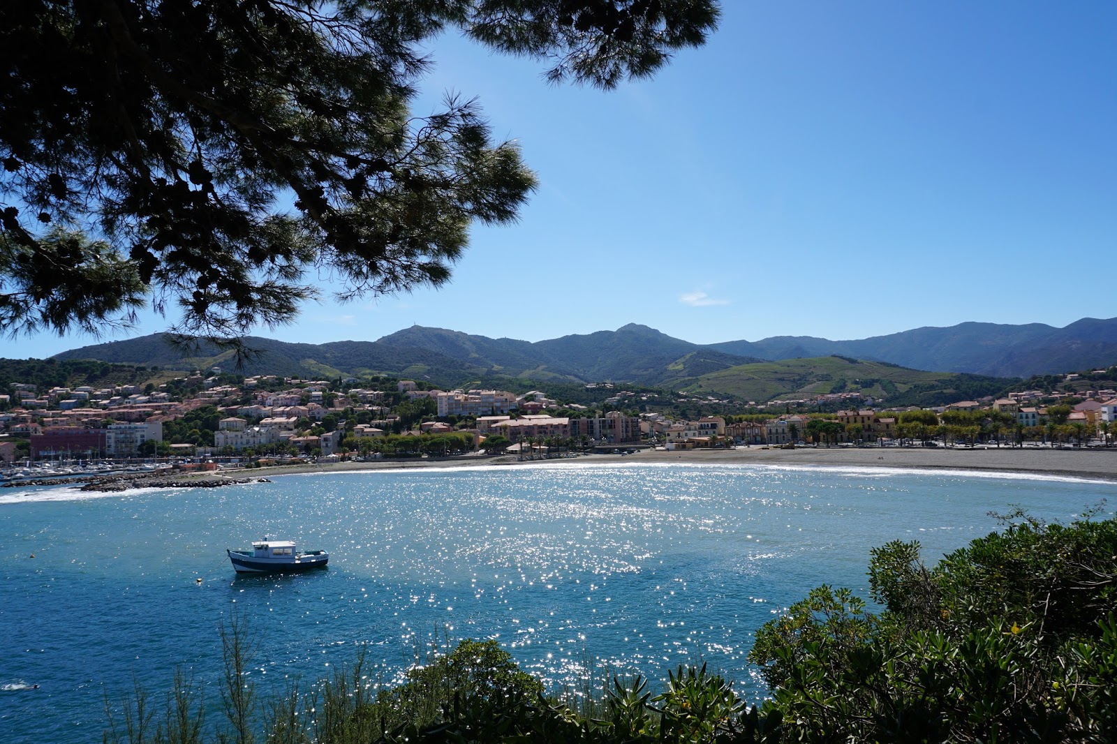 musings florida snow shovel