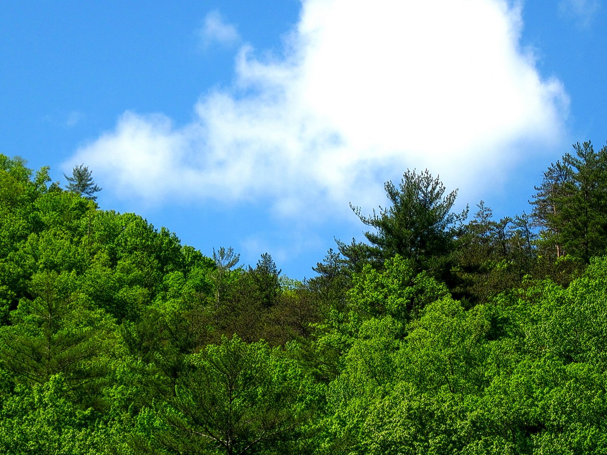 Gary's Outdoor Wanderings2 CALDERWOOD LAKE WITH THE CANOE