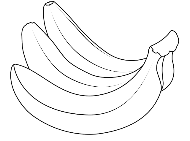 Mewarnai Gambar Buah Salak Related Keywords Suggestions Mewarnai