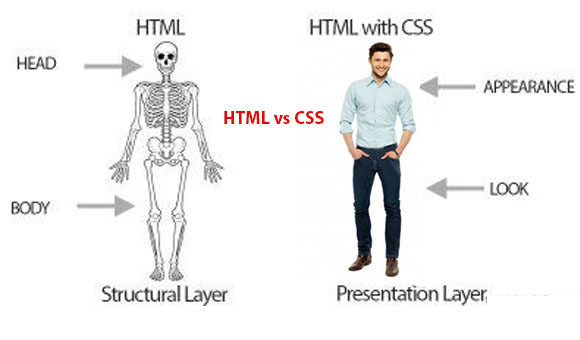 what is css code maker bd code simply html vs css