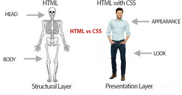 What is CSS? - Code Maker BD | code simply