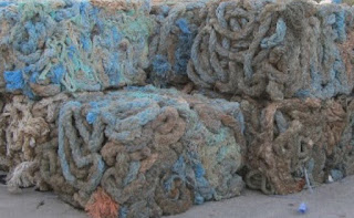 Waste PP Ropes from Harbour