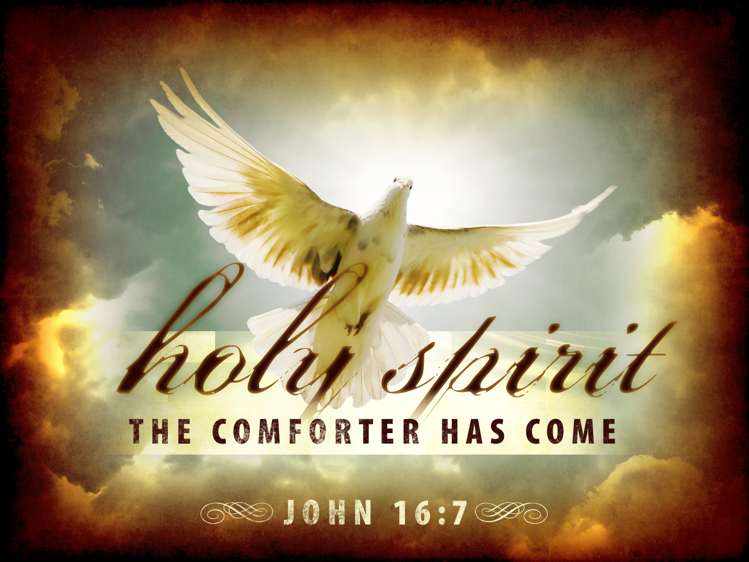 Little Plant Of St Francis The Holy Spirit The Comforter little-plant-of-st-francis-the-holy-spirit-the-comforter