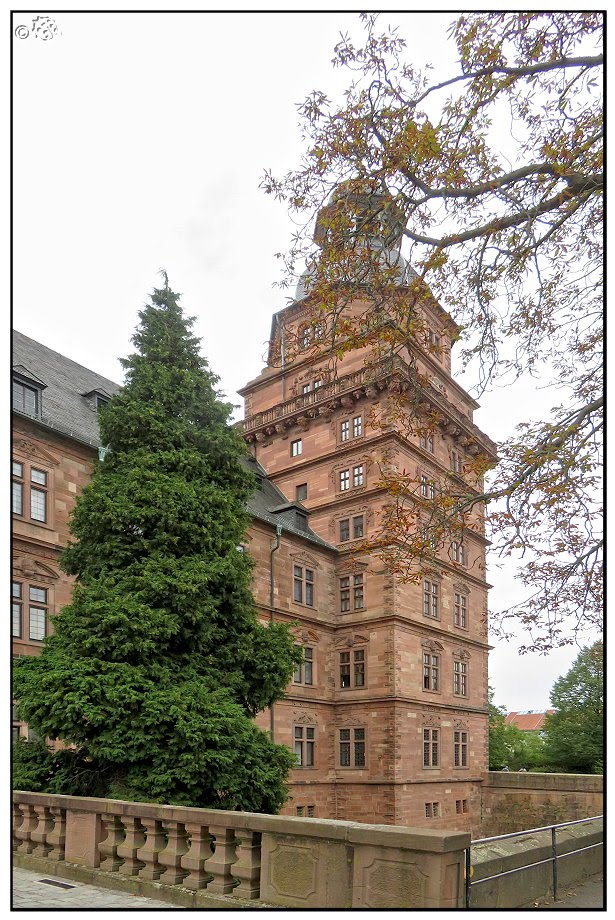 Eine Ich Freu Mich So Verlosung Villa Josefina