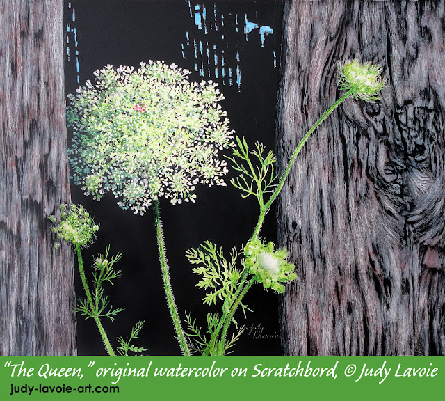 The Queen watercolor painting on scratchboard by Judy Lavoie The Queen watercolor painting on scratchboard by Judy Lavoie