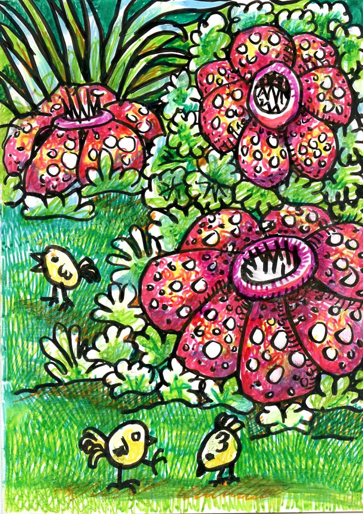 Rafflesia Friday Fun and Easy Landscape Challenge FunAndEasyLandscape