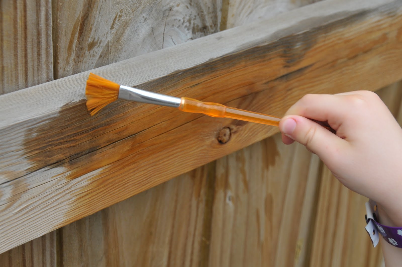 Stuff We Do Paint the Fence