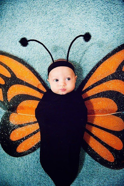    bebé lindo con disfraz de mariposa monarca