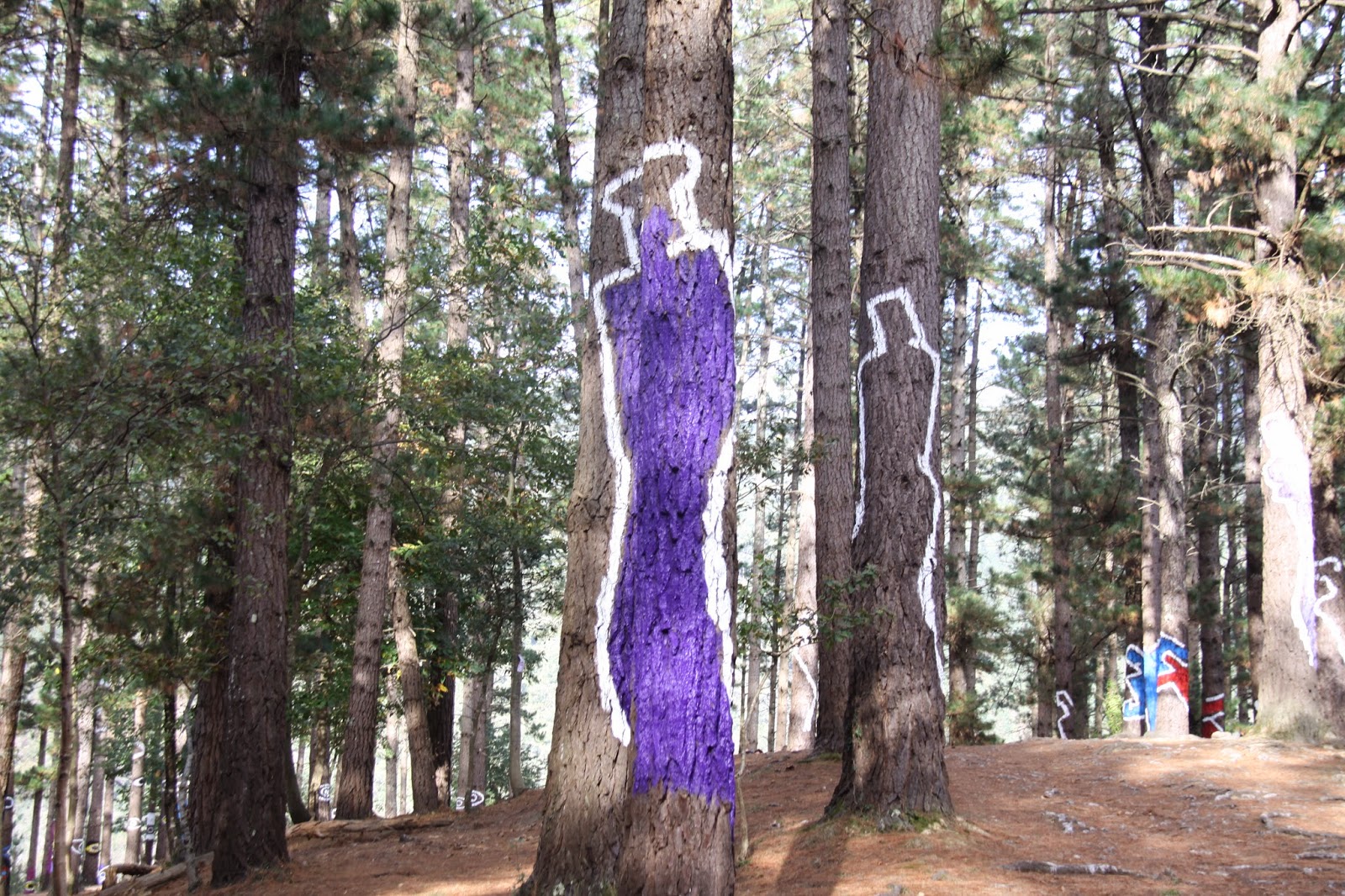Um jardim para cuidar Um passeio no Bosque encantado de Oma...