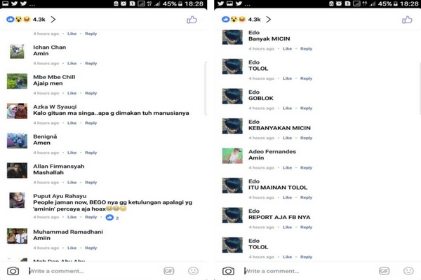Bukan Hasil Editan, Fakta di Balik Foto Bayi Perkawinan Manusia dengan Singa Bukan Hasil Editan, Fakta di Balik Foto Bayi Perkawinan Manusia dengan Singa