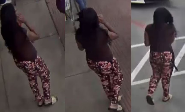 female jugging suspect 11242 South Gessner