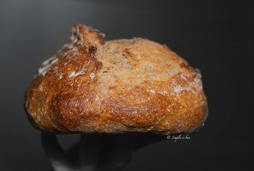 Sauerteig Mischbrot sau paine bio cu maia si faina de secara 30%