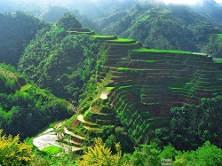 nature wallpapers any pc natural hd pakistan asian face asia tablet etc desktop laptop philippines terraces rice tips travel traveling