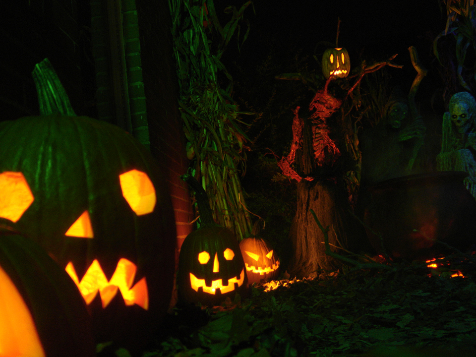 The Blog Pumpkinrot 2014 Halloween Horrors