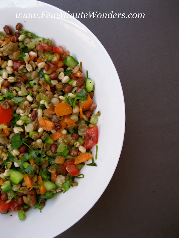 Multi Bean Sprouted Salad In 15 Minutes : A Food Find - Few Minute Wonders