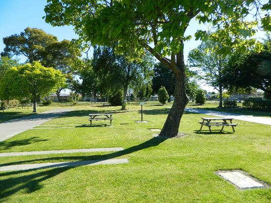 English Class: Sunday in the Park