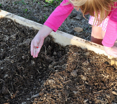 planting seeds