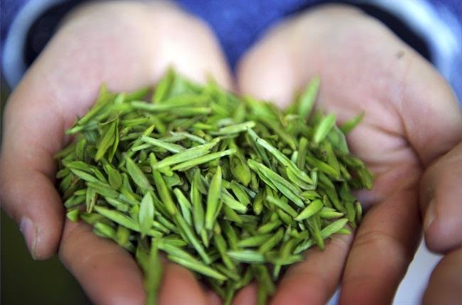 10 Most Expensive Teas