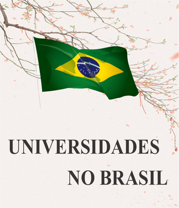 UNIVERSIDADES NO BRASIL