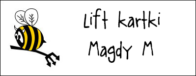 http://diabelskimlyn.blogspot.nl/2014/02/lift-kartki-magdy-m.html