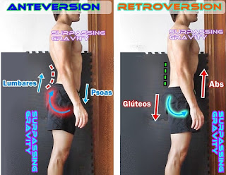 tutorial pino
