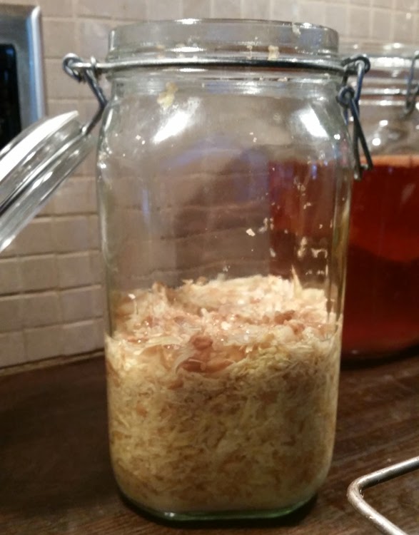 Wolf Peach Farm How to make your very own Ginger Bug.