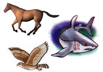 تصنيف الحيوانات حسب الأوساط التي تتنقل فيها التنقل في البر التنقل في الماء التنقل في الجو الموسوعة المدرسية