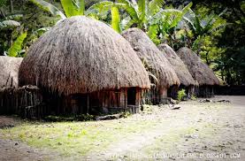 Arsiterian Tk Rumah Adat Papua