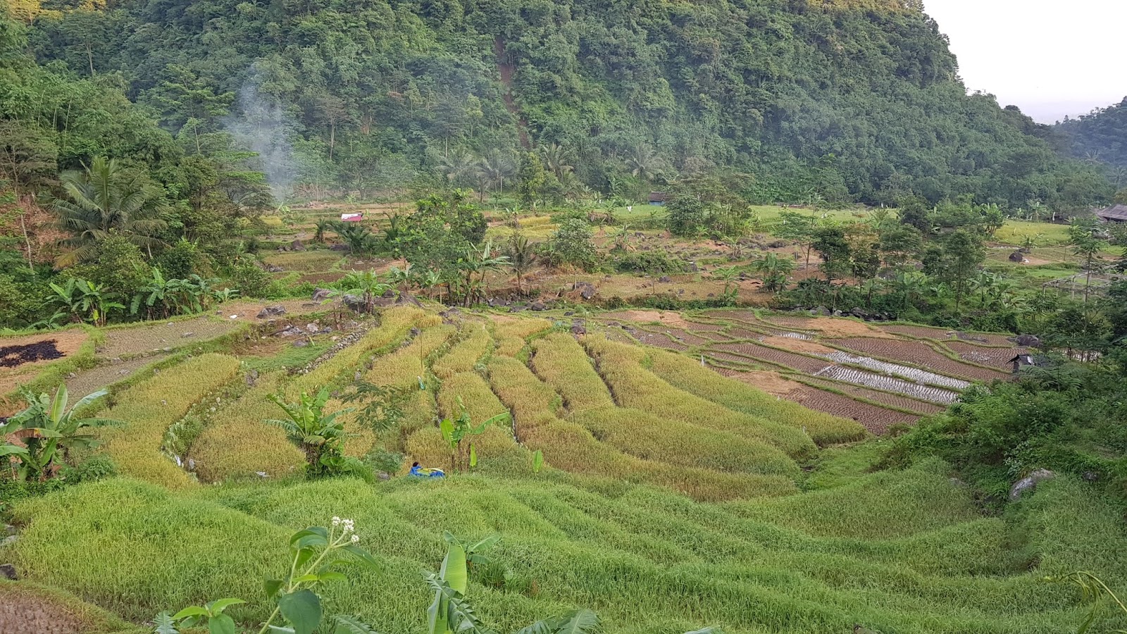 Ciasmara-Sekeping Surga yang Terlupakan II: Curug Cikawah ...