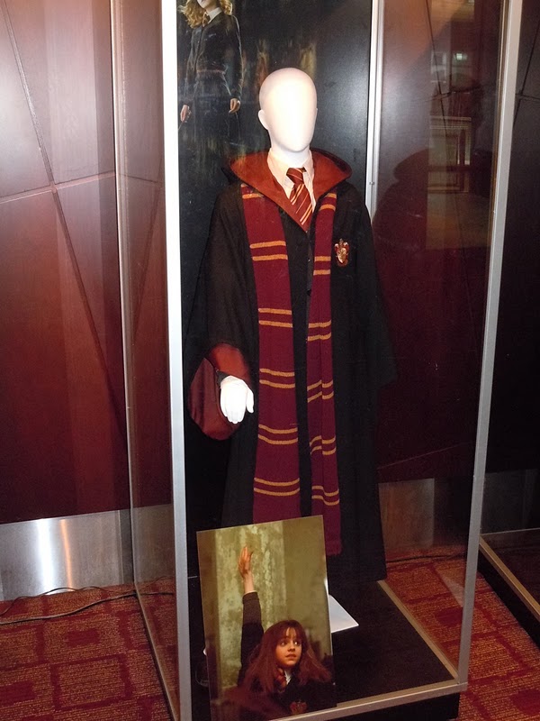 Hermione Harry Potter costume
