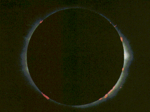 Солнечное затмение 8 апреля для знаков. Солнечное затмение НАСА. Хромосфера гиф. Полное солнечное затмение с хромосферой. Солнечное затмение 23 ноября 2003 года.