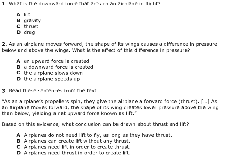 Savelina How do air planes flyExplaining
