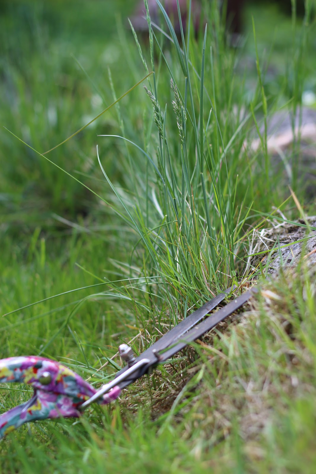 Eine Fahne für den Garten