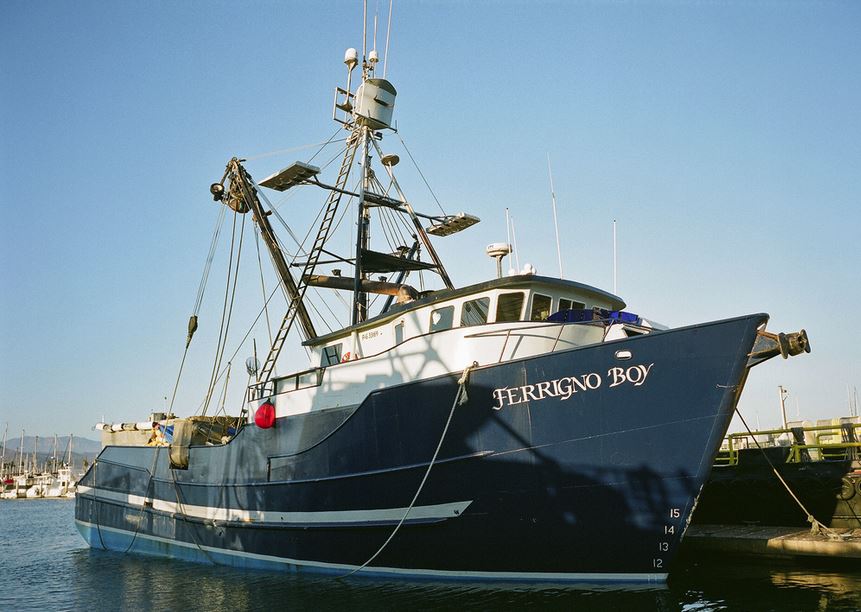 MEC&F Expert Engineers Ferrigno Boy fishing boat loses control