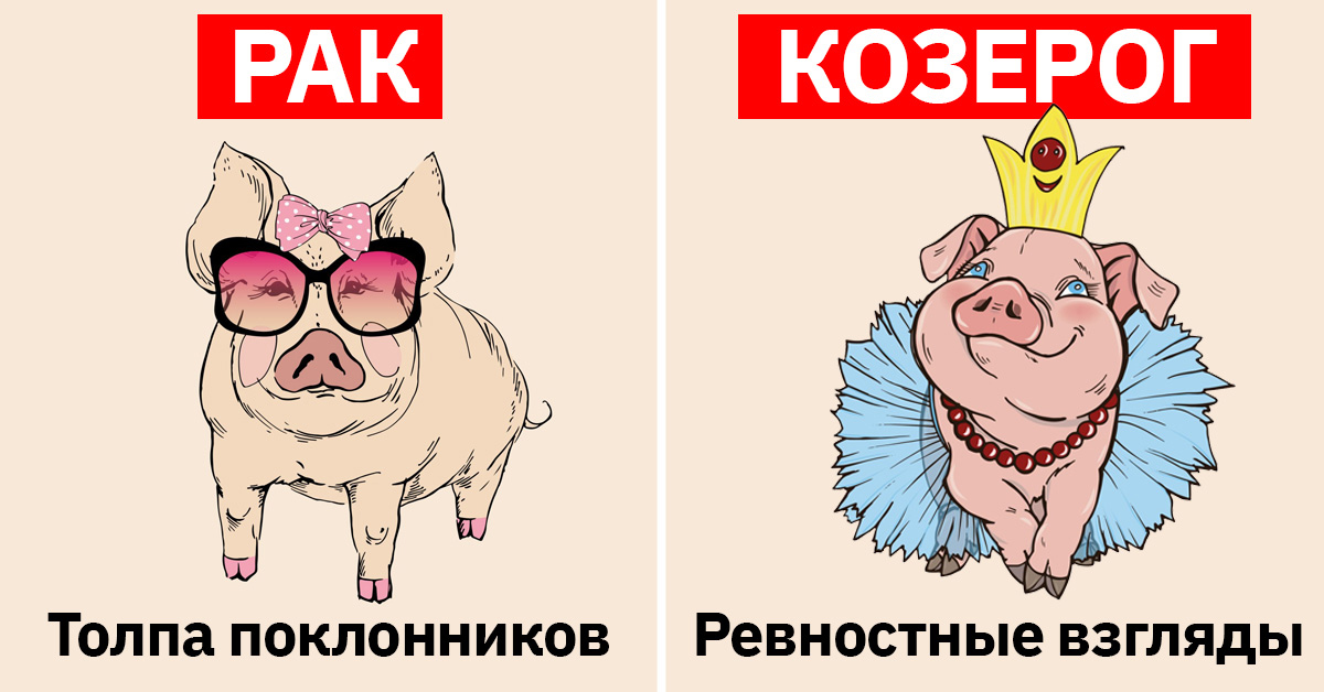 козерог. год свиньи характеристика. свинья скорпион. год свиньи гороскоп. гороскоп козерог год свиньи.