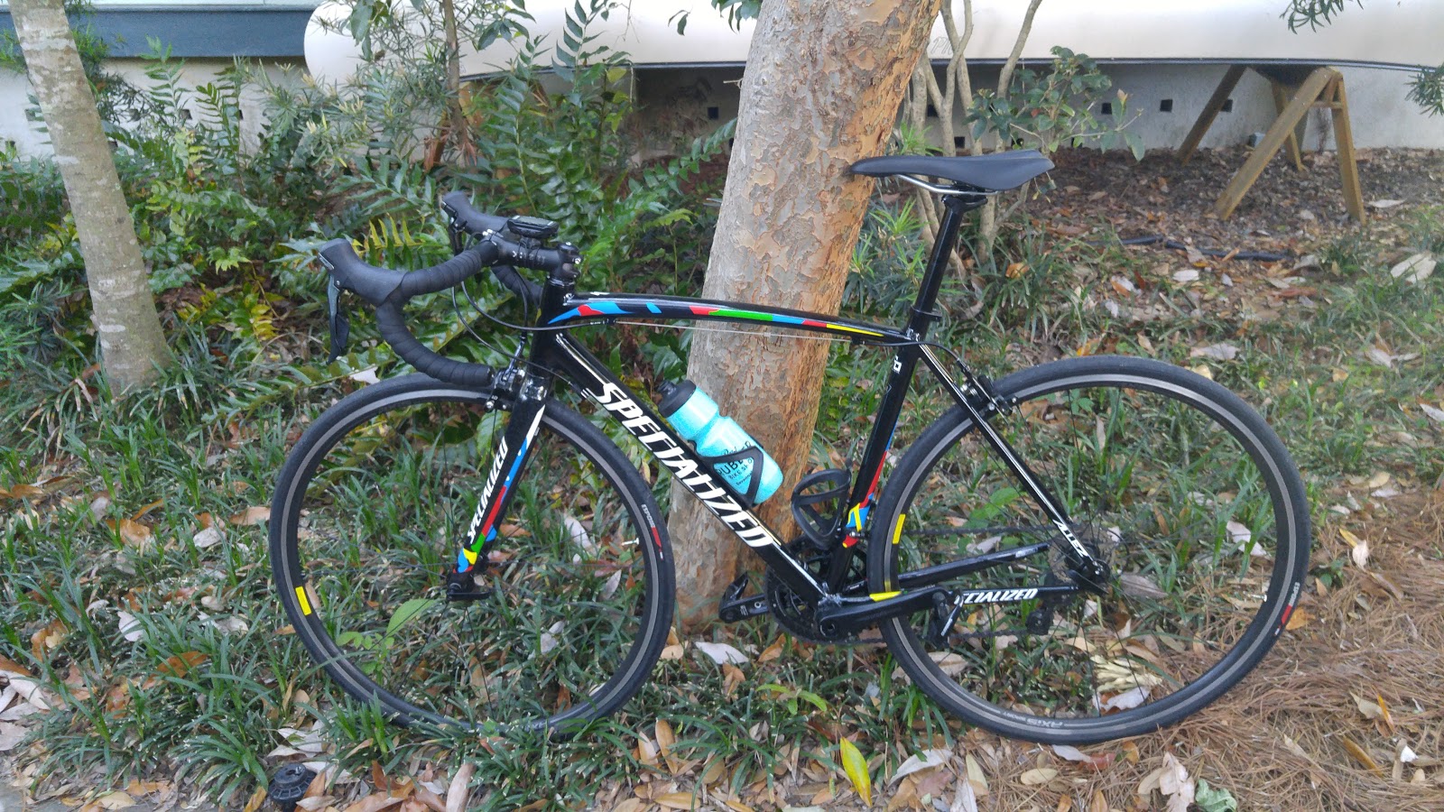 peter sagan specialized allez