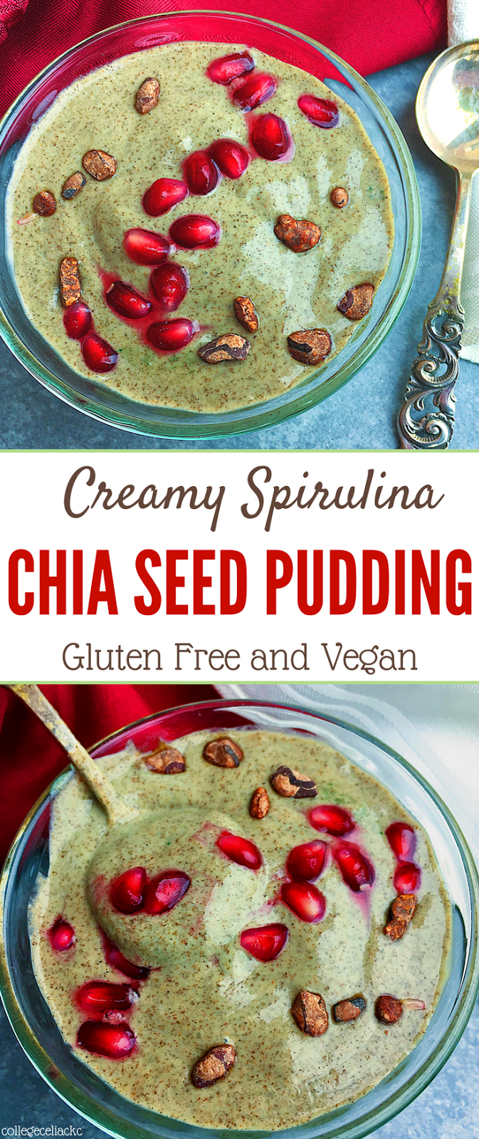 Creamy Spirulina Chia Seed Pudding (Gluten Free, Vegan)