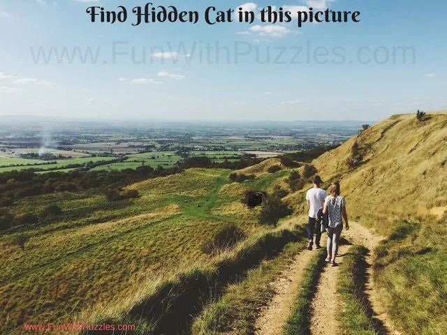 Spot the Hidden Cat Picture Puzzles: Visibility Test-2