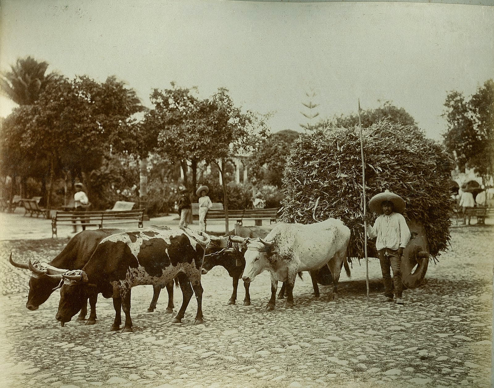 La Gaveta de Aguere EL MENCEYATO DE TEGUESTE
