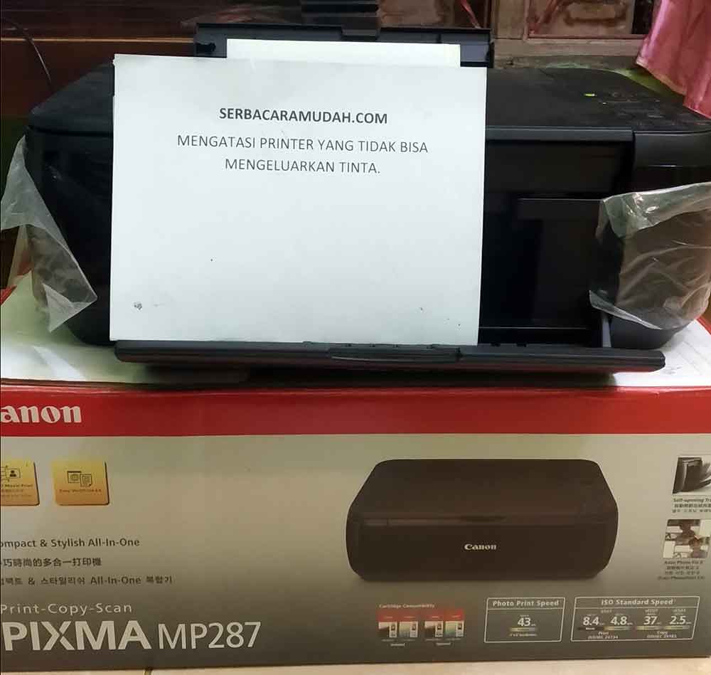 cara mengatasi ink hitam printer canon mp287 tidak keluar Felicity Butler