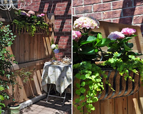 Three Dogs in a Garden: Ideas for Small Outdoor Spaces that can be used