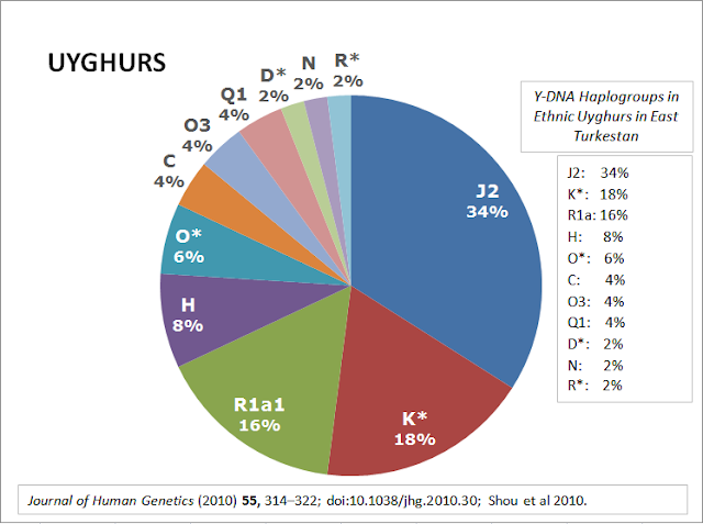 ydna-haplogroups-in-uyghurs.png