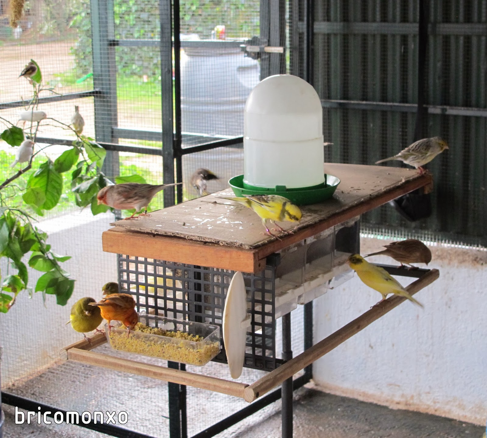 BRICOMONXO: Soporte para comederos de pájaros